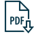 PDF Export icon